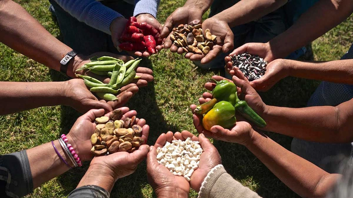 Ingredientes naturales peruanos y productos agrícolas para el mercado internacional